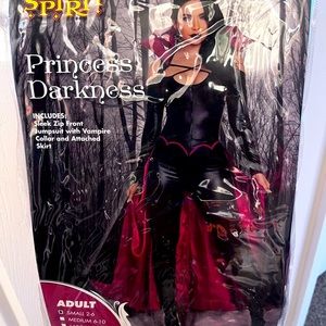 Brand new Halloween costume. Taken out of bag, but never worn.